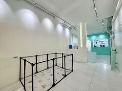 Joo Chiat Road (D15), Shop House #579076751